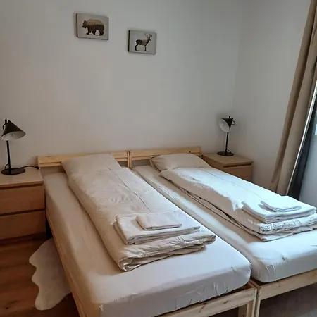 Spacieux - 2 à Coucher Incl Jacuzzi Privé Appartamento Leukerbad