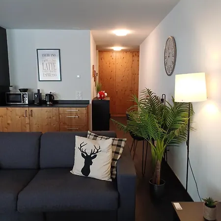 Spacieux - 2 A Coucher Incl Jacuzzi Prive *