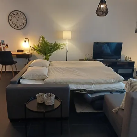 Spacieux - 2 A Coucher Incl Jacuzzi Prive